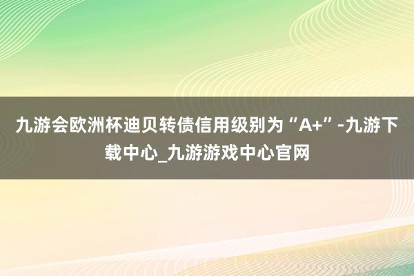 九游会欧洲杯迪贝转债信用级别为“A+”-九游下载中心_九游游戏中心官网