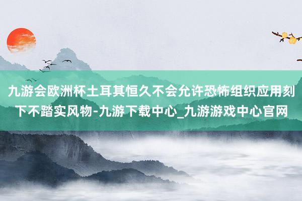 九游会欧洲杯土耳其恒久不会允许恐怖组织应用刻下不踏实风物-九游下载中心_九游游戏中心官网