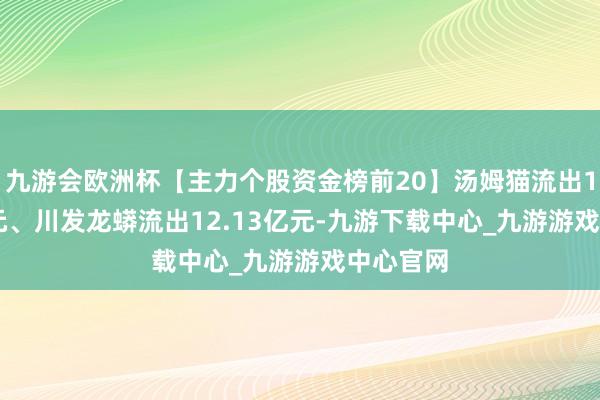 九游会欧洲杯【主力个股资金榜前20】汤姆猫流出13.99亿元、川发龙蟒流出12.13亿元-九游下载中心_九游游戏中心官网