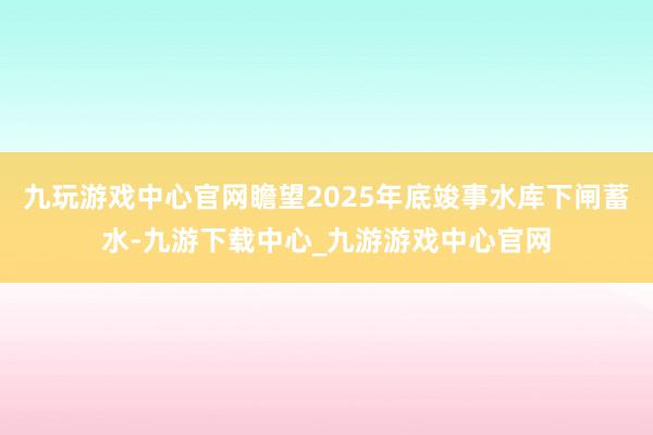 九玩游戏中心官网瞻望2025年底竣事水库下闸蓄水-九游下载中心_九游游戏中心官网